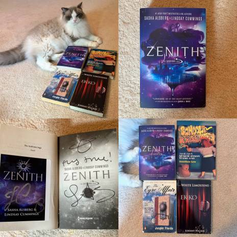 9b381b37-1413-41eb-94d8-fe6b4666736b