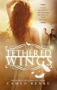 tethered wings- hidden wings #3