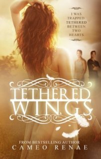 tethered wings- hidden wings #3